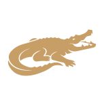 Crocodile
