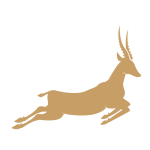 Impala