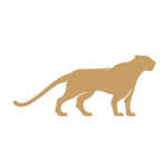 Lioness