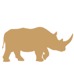 Rhino