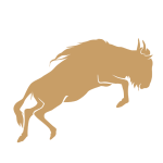 Wilderbeest